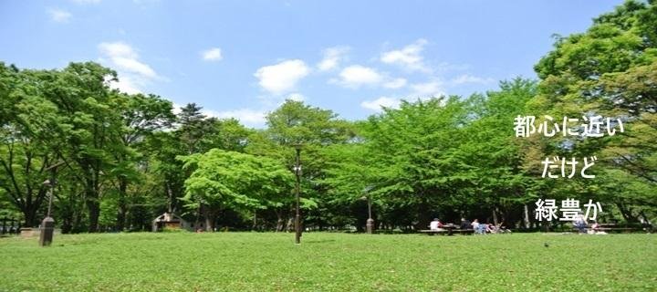 和田堀公園